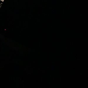 Meet your Posher, Rayna